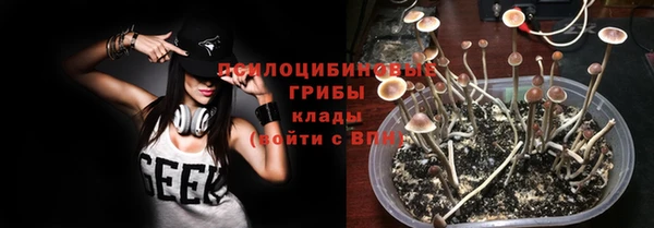 spice Беломорск