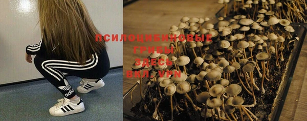 spice Беломорск