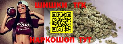 трава Сланцы