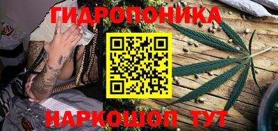 трава Сланцы