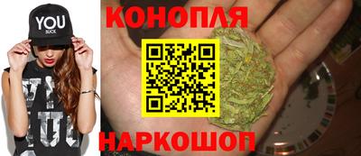 трава Сланцы