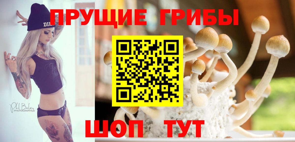 Галлюциногенные грибы Psilocybine cubensis  Галлюциногенные грибы Psilocybine cubensis  Свободный  дарнет шоп  Вход с VPN 